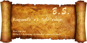Bagaméri Sándor névjegykártya